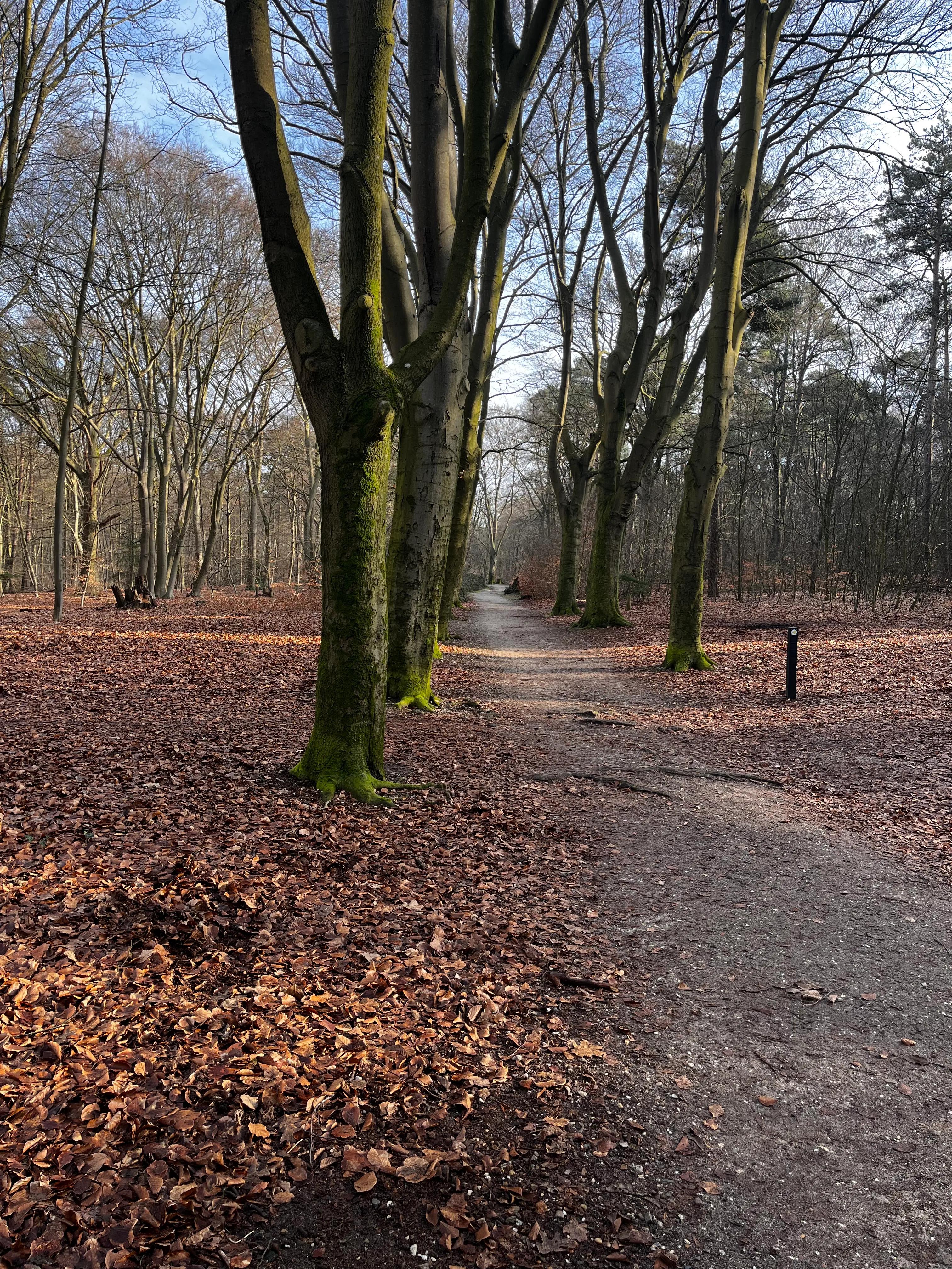 Groesbeekseweg — wandelpad