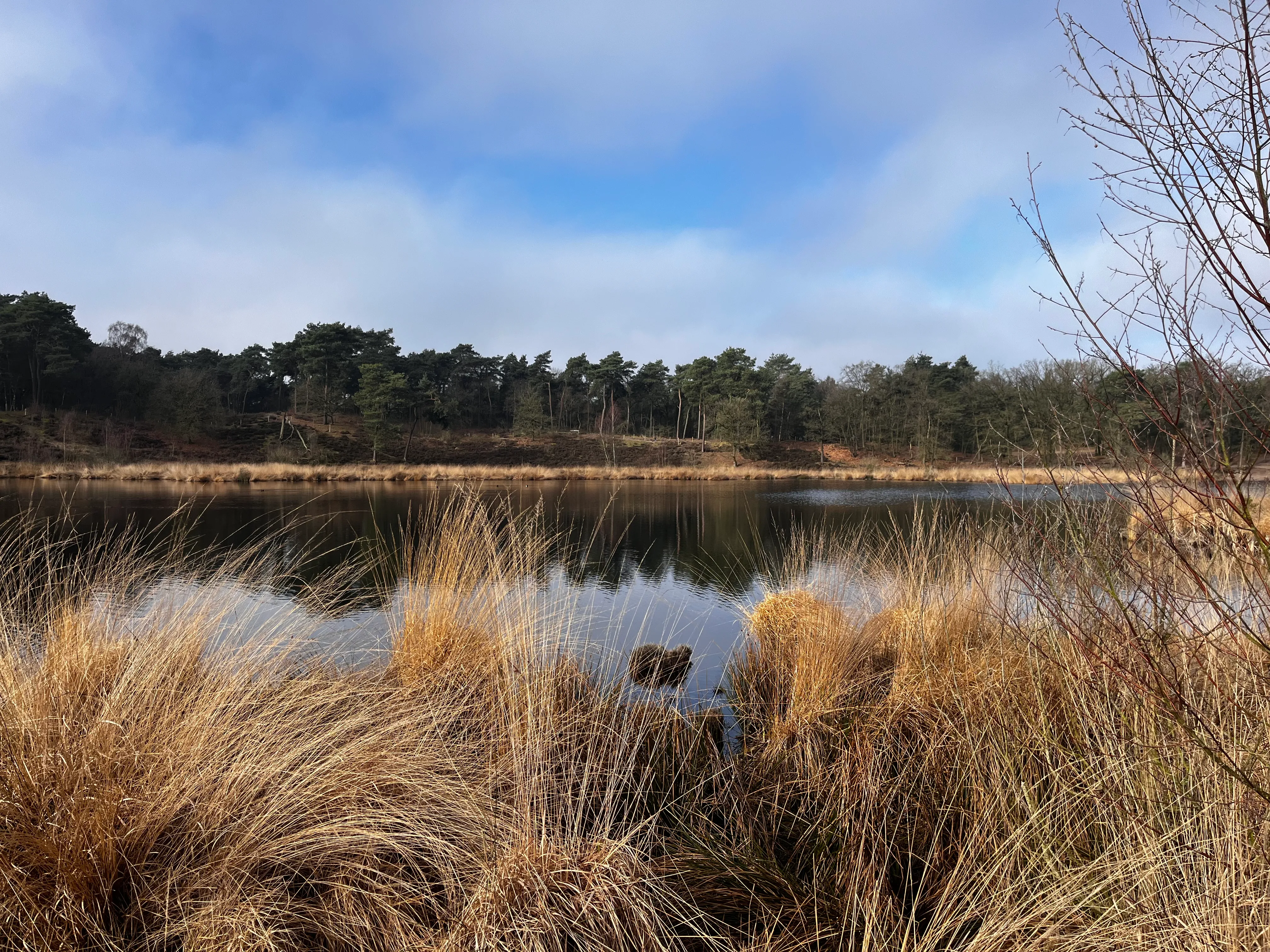 Wandelroute Hatertse Vennen — heide en bos bij Nijmegen