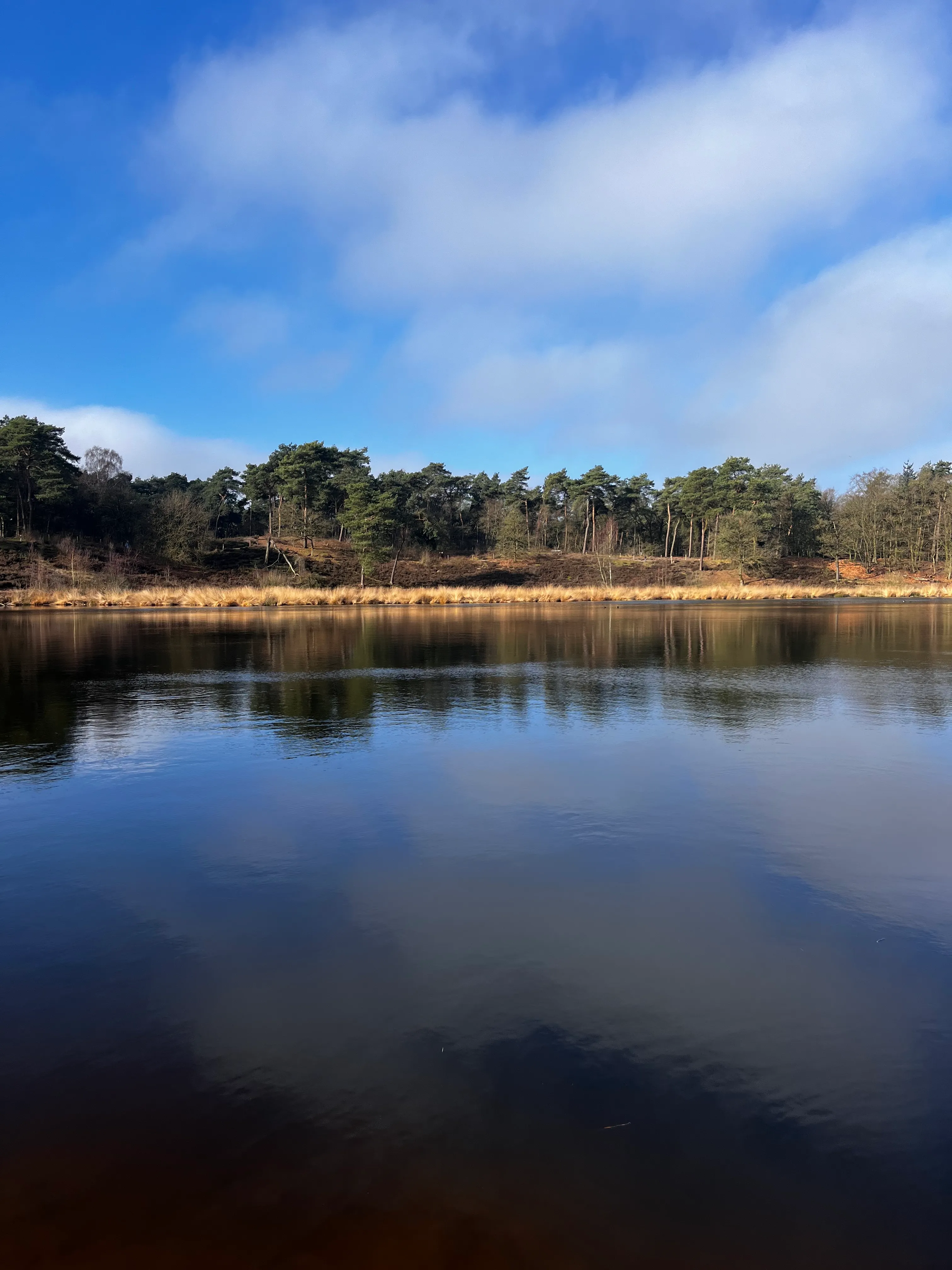 Hatertse Vennen — natuur en heide