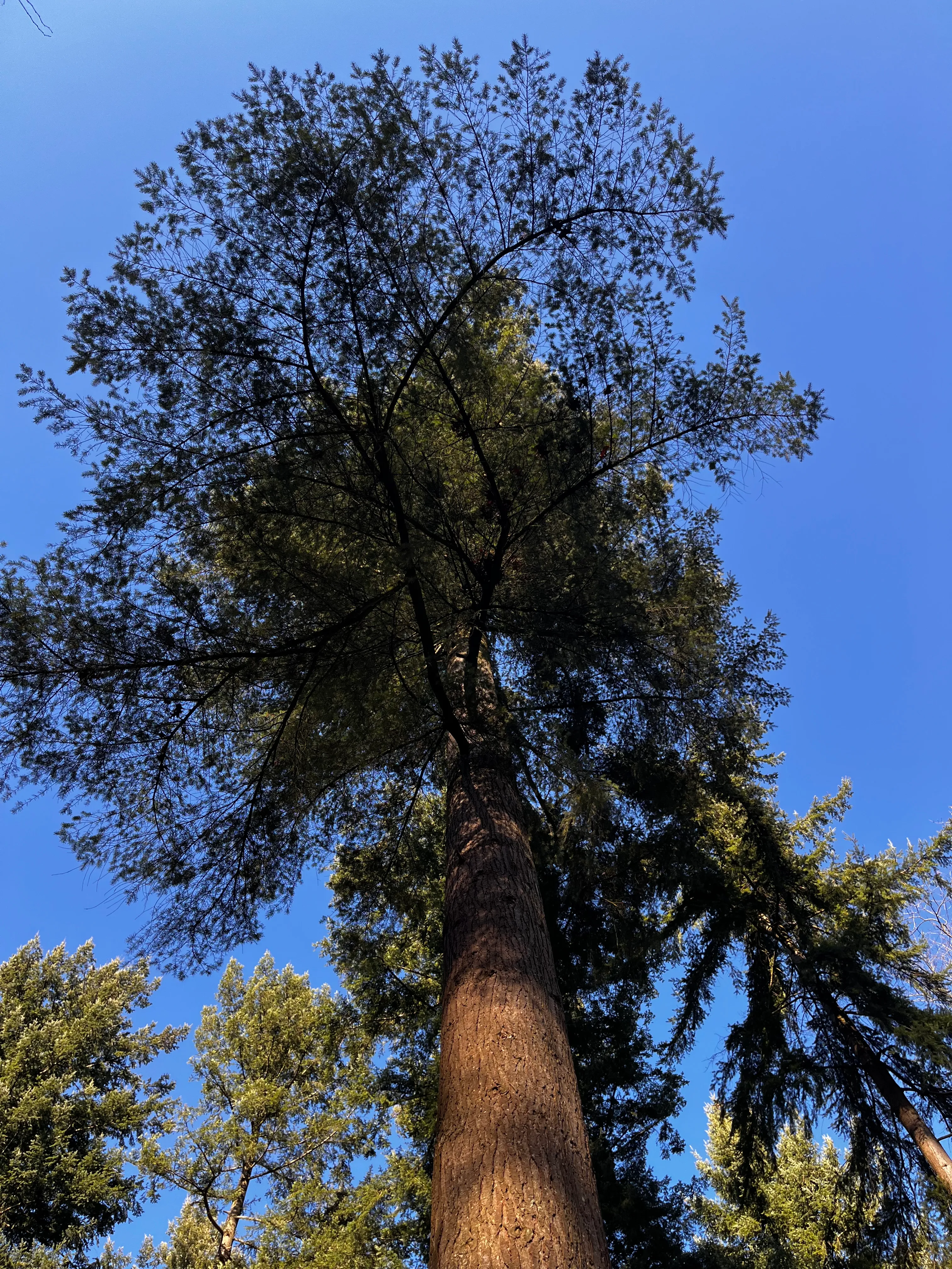 Wandelroute Rozendaal — landgoed en bos bij Arnhem