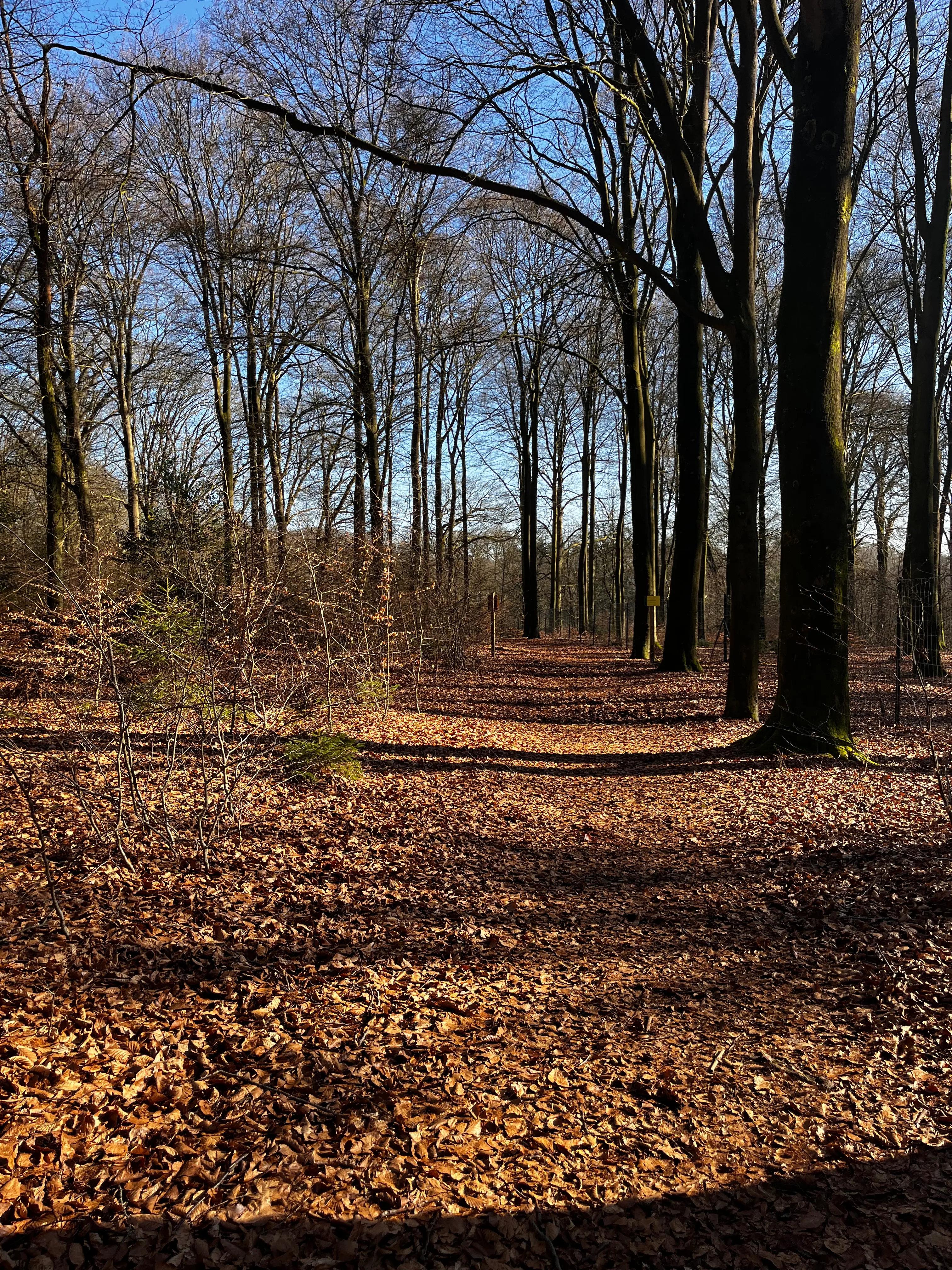 Rozendaal — landgoederen